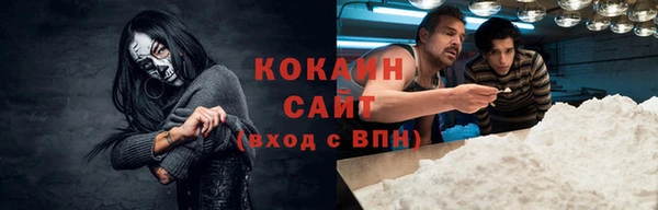 кокс Алексин