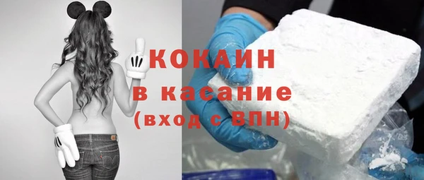 кокс Алексин
