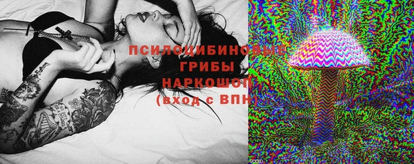 кокс Алексин