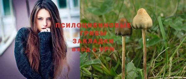 кокс Алексин